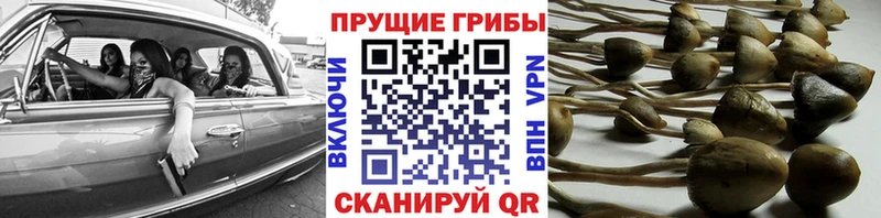 Галлюциногенные грибы прущие грибы МЕГА tor Лахденпохья закладка